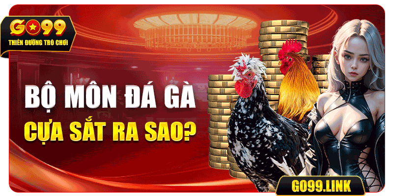 Bộ môn đá gà cựa sắt ra sao?