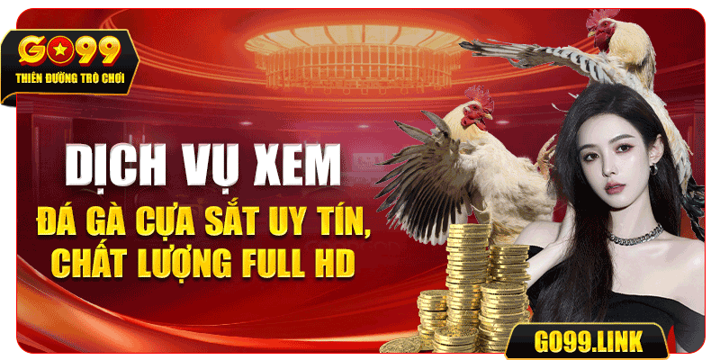 Dịch vụ xem đá gà cựa sắt uy tín, chất lượng Full HD 